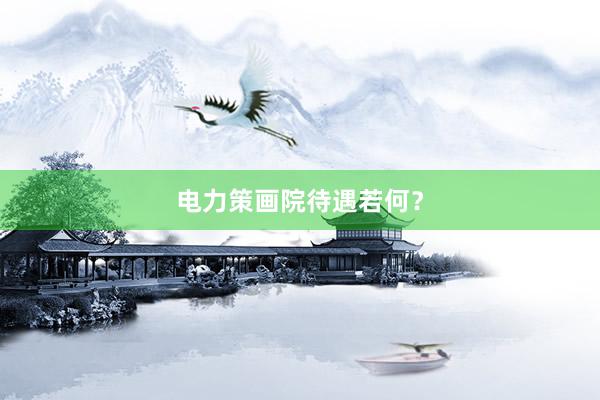 电力策画院待遇若何？