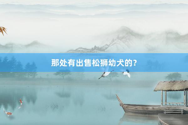 那处有出售松狮幼犬的？